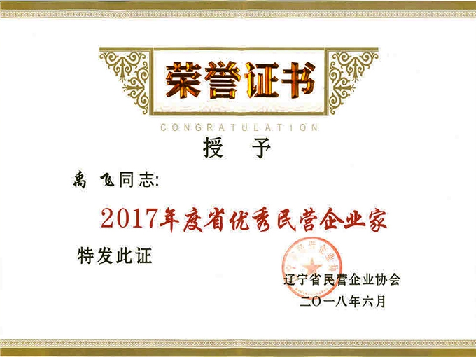 禹飞2017辽宁省优秀民营企业家