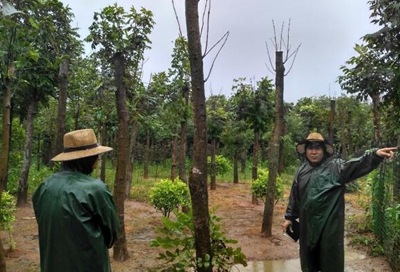 风雨无阻，不忘初心 ——风控部，监管部联合巡查